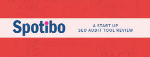 Spotibo SEO Audit Tool