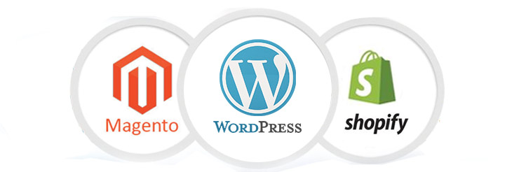 Content Management Systems