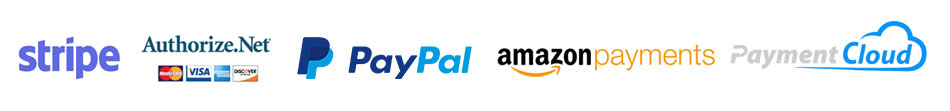 Payment Processors for Websites