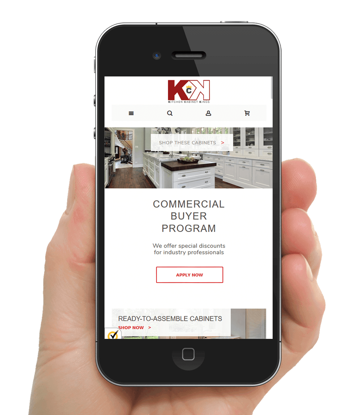 Best Online Store Web Designerr