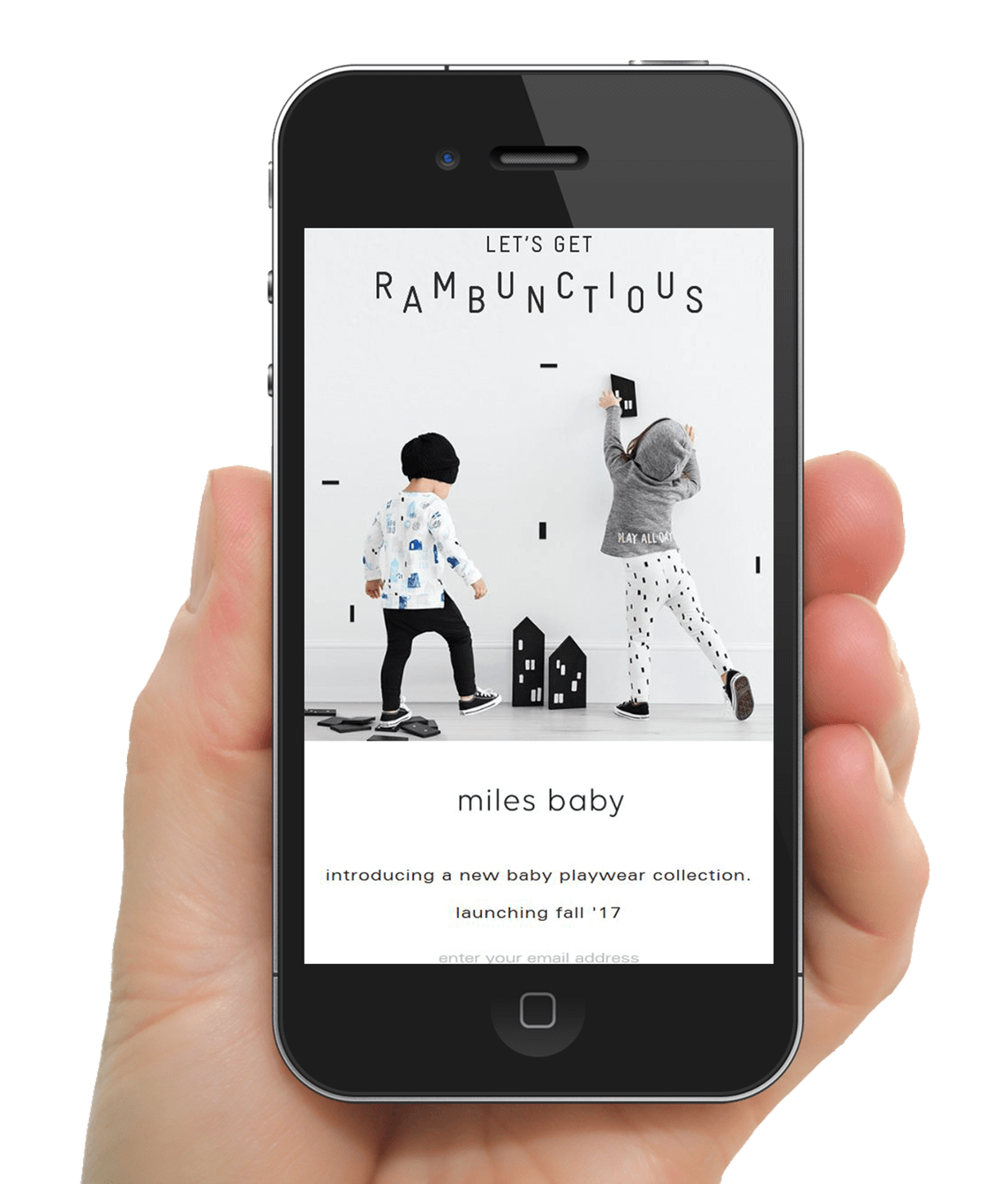 Shopify Website Design
