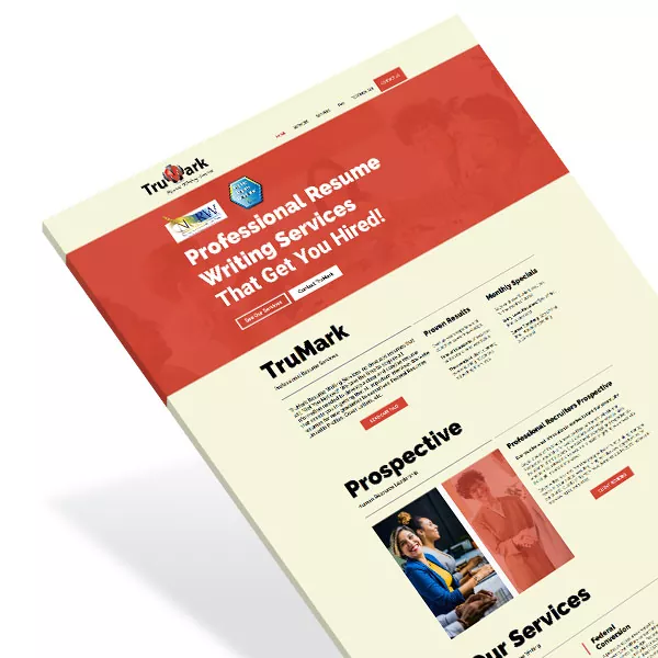Professional Services Web Designer