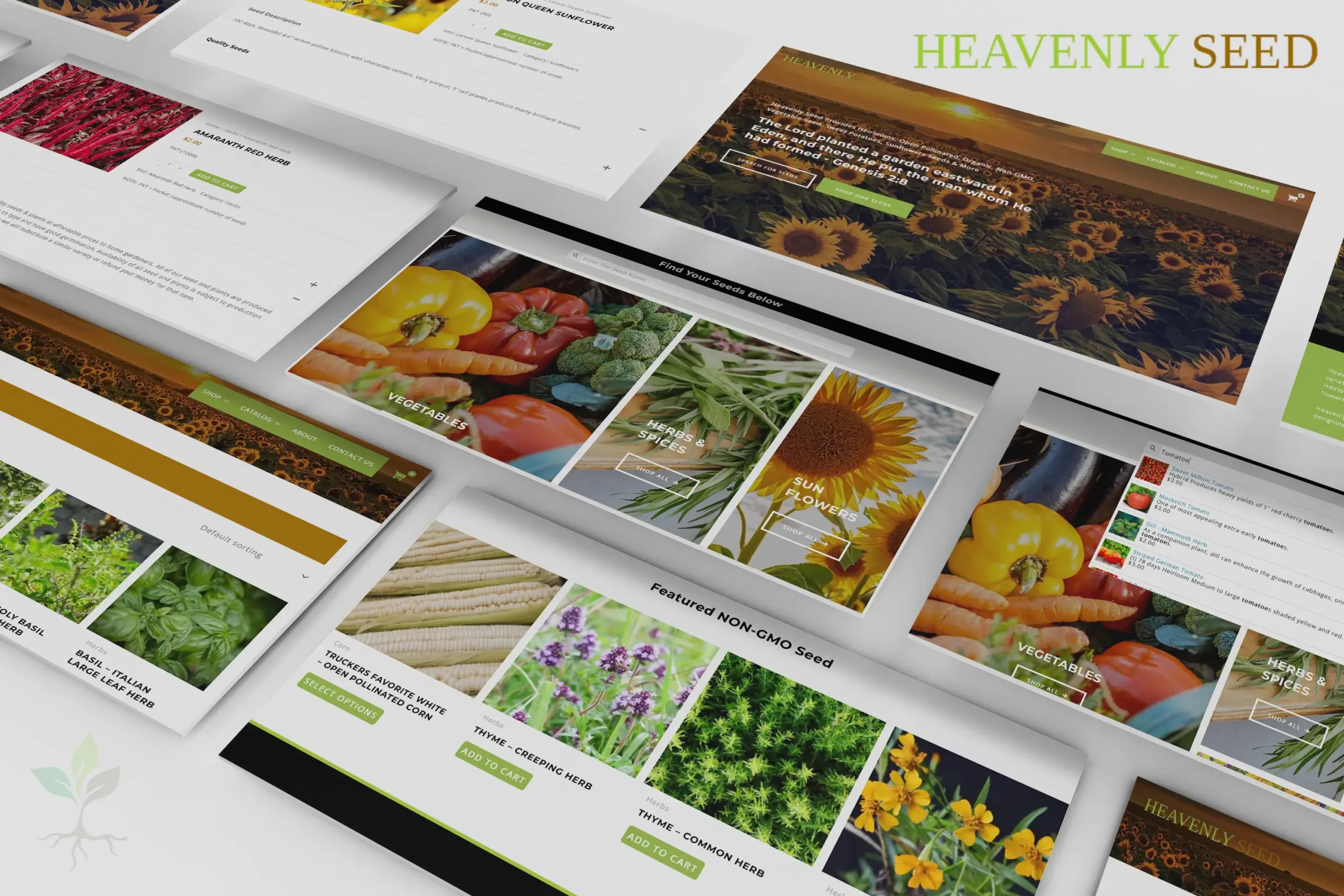 Anderson SC Web Design Company