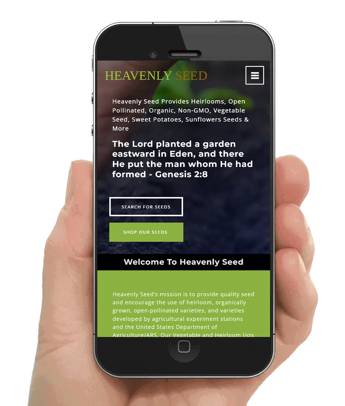 eCommerce Website Design in Upstate Anderson South Carolina