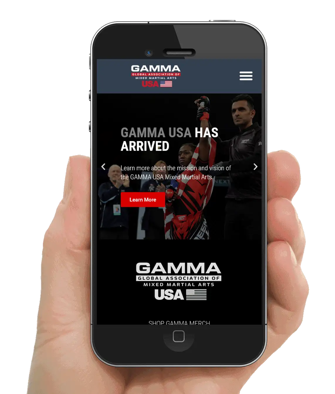 Martial Arts Web Design
